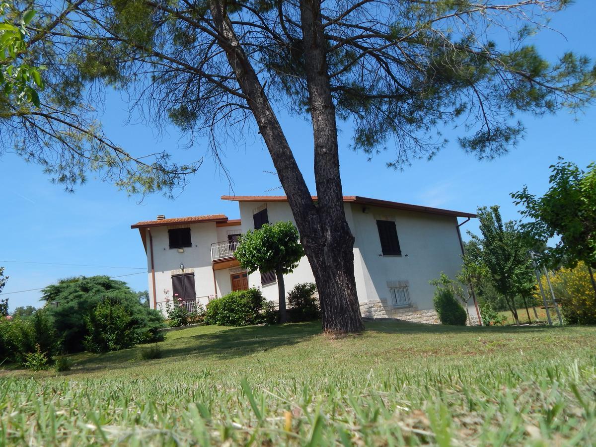 Madre Terra - B&B Ostra Molino Apolloni Exterior foto